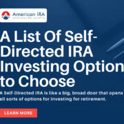 Self-Directed IRA investing options