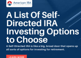 Self-Directed IRA investing options