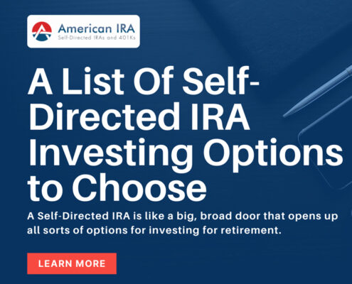 Self-Directed IRA investing options