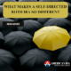 Self-Directed Roth IRA