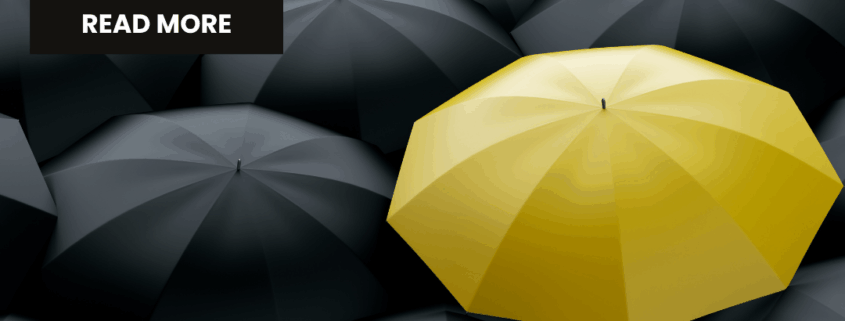Self-Directed Roth IRA