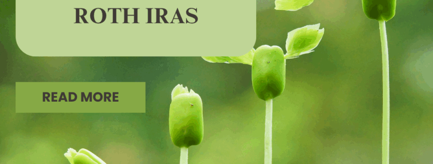 Self-Directed Roth IRAs