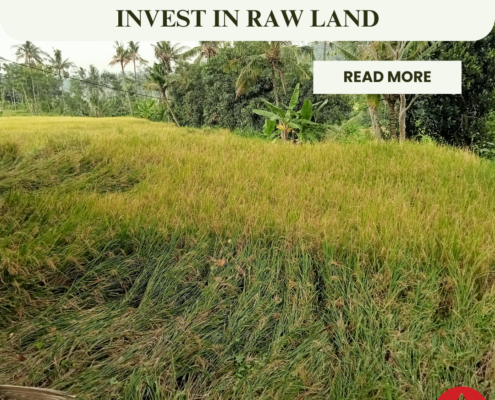 Raw Land