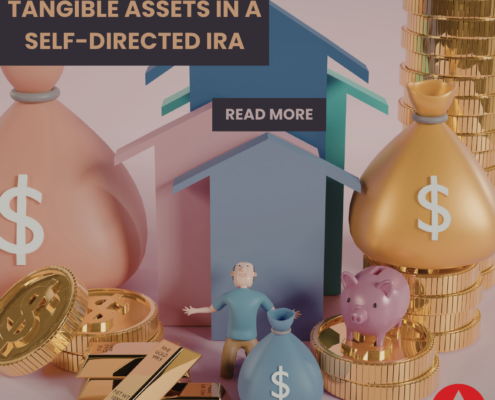 Self-Directed IRAs
