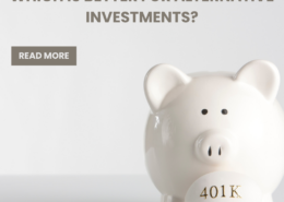 Self-Directed Solo 401(k)