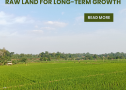 Raw Land