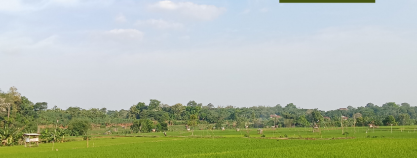 Raw Land